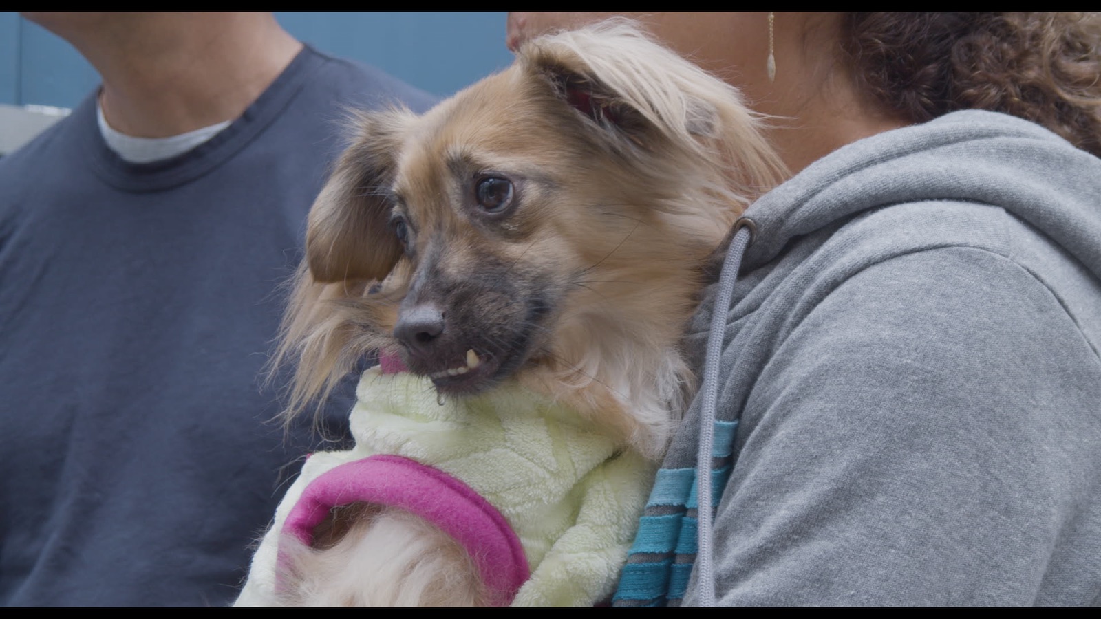 #Save This Dog — Still 1
